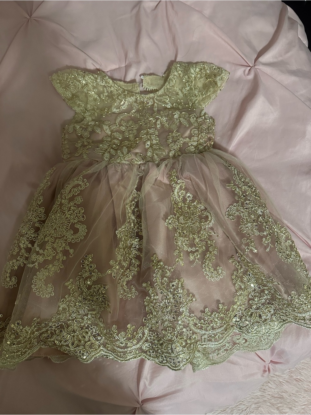 Amazon Girls' Gold Lace Tulle Party Dress